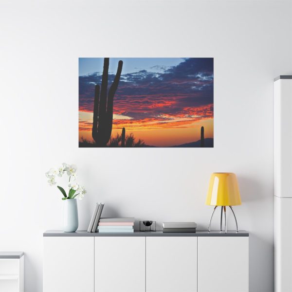 91638-147.jpg Cactus Sunrise Desert Standard Canvas
