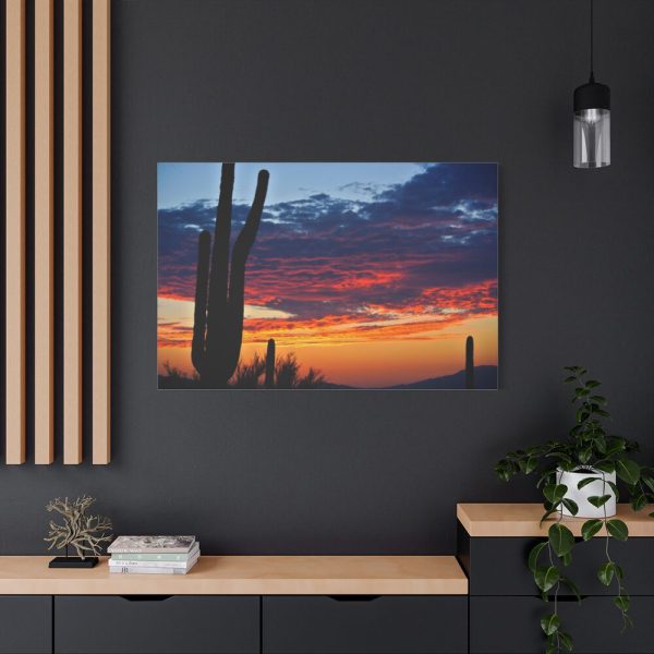 91638-148.jpg Cactus Sunrise Desert Standard Canvas