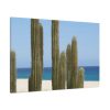 91638-170.jpg Cactus on the Beach Standard Canvas