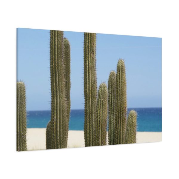 91638-170.jpg Cactus on the Beach Standard Canvas