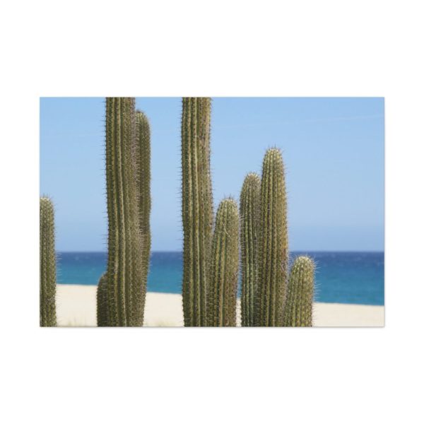 91638-171.jpg Cactus on the Beach Standard Canvas