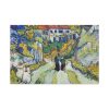 91638-221.jpg Vincent van Gogh's Stairway at Auvers Standard Canvas