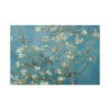 91638-226.jpg Vincent van Gogh's Almond Blossom Standard Canvas