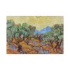91638-241.jpg Vincent van Gogh's Olive Trees Standard Canvas