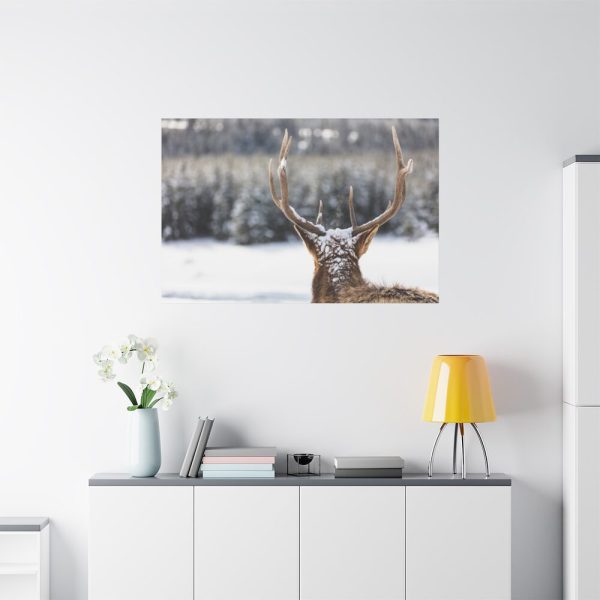 91638-257.jpg Deer Portrait From Behind Standard Canvas