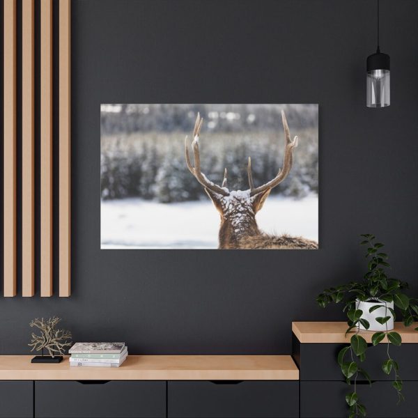 91638-258.jpg Deer Portrait From Behind Standard Canvas