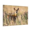 91638-260.jpg Roe Deer Standard Canvas