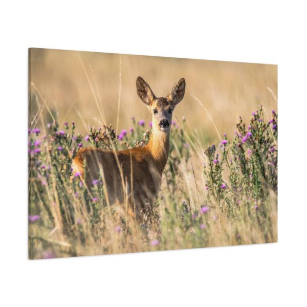 91638-260.jpg Roe Deer Standard Canvas