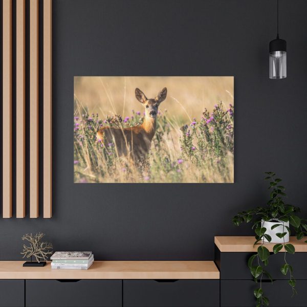 91638-263.jpg Roe Deer Standard Canvas