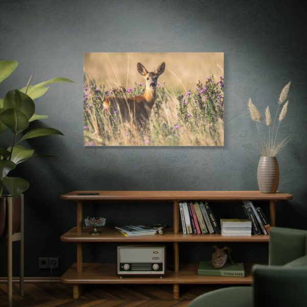 91638-264.jpg Roe Deer Standard Canvas