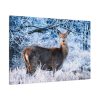 91638-270.jpg Deer In The Forest Standard Canvas