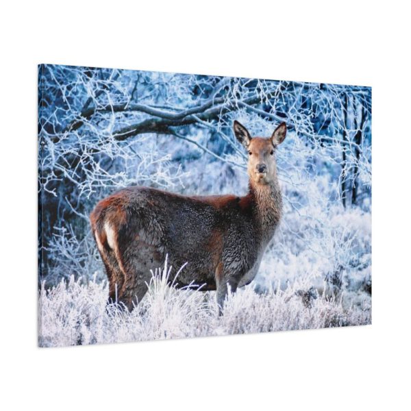 91638-270.jpg Deer In The Forest Standard Canvas