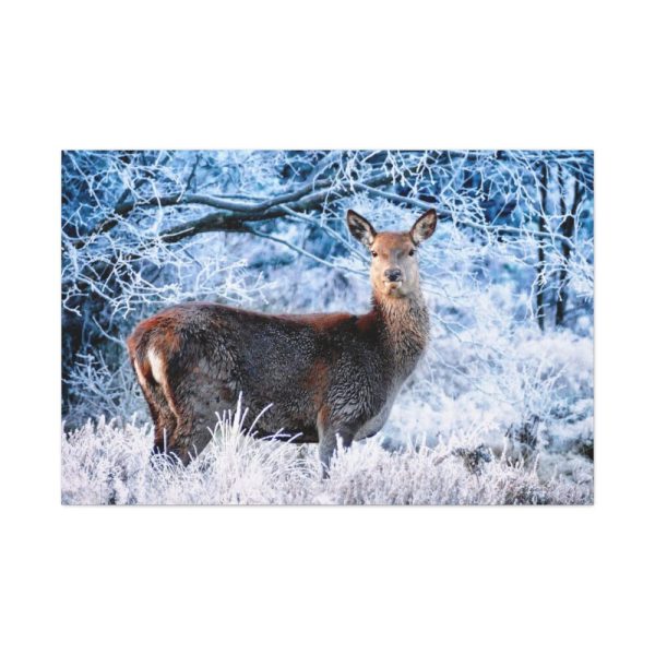 91638-271.jpg Deer In The Forest Standard Canvas