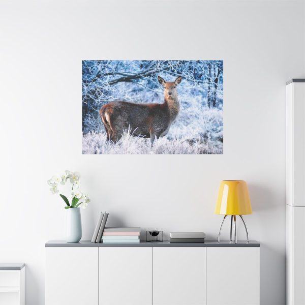 91638-272.jpg Deer In The Forest Standard Canvas