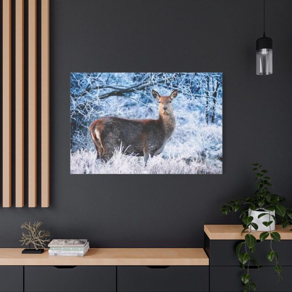 91638-273.jpg Deer In The Forest Standard Canvas