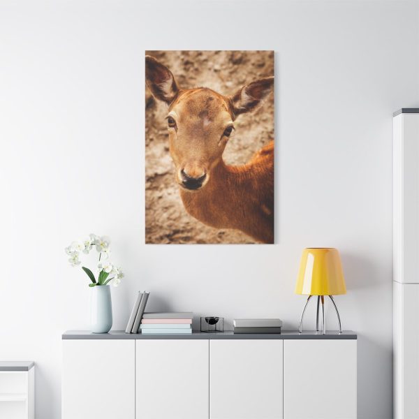 91655-154.jpg Roe Deer in Nature Standard Canvas