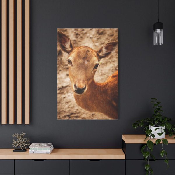 91655-155.jpg Roe Deer in Nature Standard Canvas