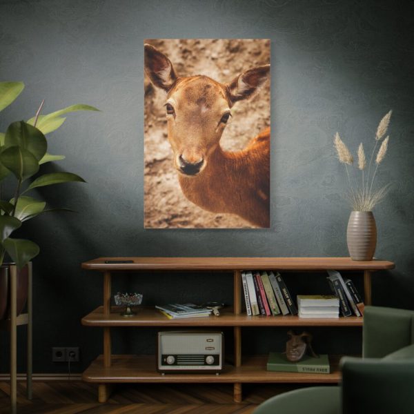 91655-156.jpg Roe Deer in Nature Standard Canvas