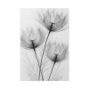 91655-188.jpg Delicate Flowers Art Standard Canvas