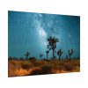 92368-17.jpg Starry Sky Night With Cactus Poster