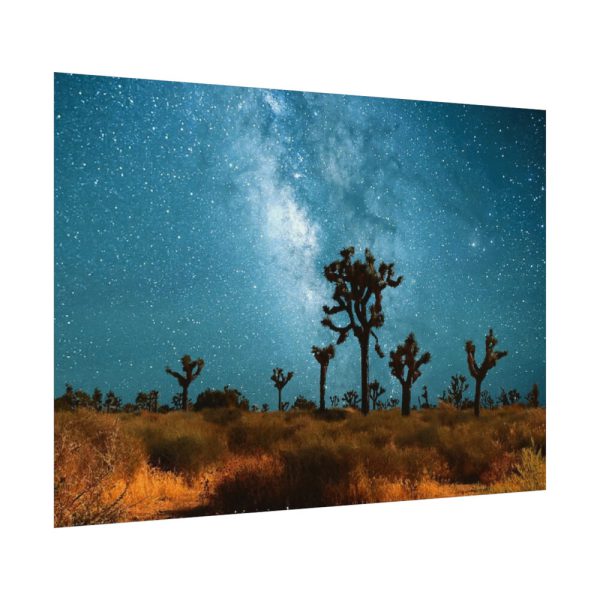 92368-17.jpg Starry Sky Night With Cactus Poster