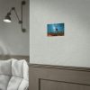 92368-19.jpg Starry Sky Night With Cactus Poster