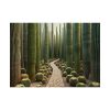 92368-25.jpg Walkway Meandering Through a Forest of Organ Pipe Cactus Poster
