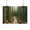 92368-26.jpg Walkway Meandering Through a Forest of Organ Pipe Cactus Poster