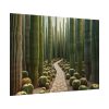 92368-27.jpg Walkway Meandering Through a Forest of Organ Pipe Cactus Poster