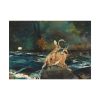 92368-30.jpg A Good Shot, Adirondacks by Winslow Homer Poster