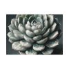 92368-5.jpg Boho Succulent Plant Poster