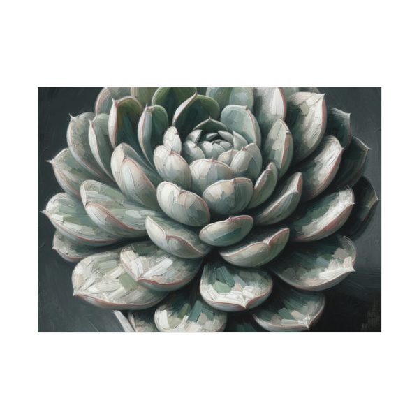 92368-5.jpg Boho Succulent Plant Poster