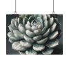 92368-6.jpg Boho Succulent Plant Poster