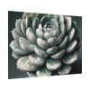 92368-7.jpg Boho Succulent Plant Poster