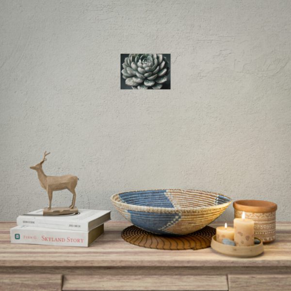 92368-8.jpg Boho Succulent Plant Poster