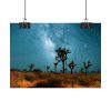 92369-1.jpg Starry Sky Night With Cactus Poster
