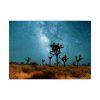 92369.jpg Starry Sky Night With Cactus Poster