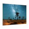 92369-2.jpg Starry Sky Night With Cactus Poster