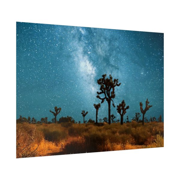 92369-2.jpg Starry Sky Night With Cactus Poster