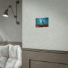 92369-4.jpg Starry Sky Night With Cactus Poster