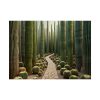 92369-5.jpg Walkway Meandering Through a Forest of Organ Pipe Cactus Poster