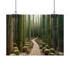 92369-6.jpg Walkway Meandering Through a Forest of Organ Pipe Cactus Poster