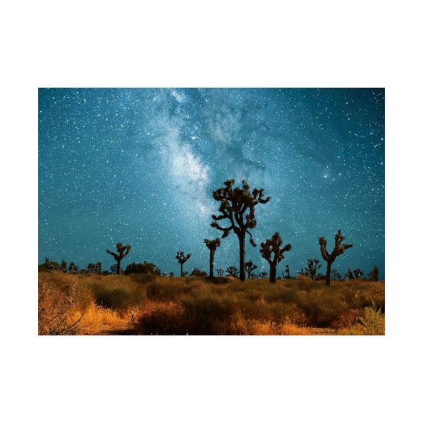 92369.jpg Starry Sky Night With Cactus Poster