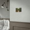 92369-9.jpg Walkway Meandering Through a Forest of Organ Pipe Cactus Poster