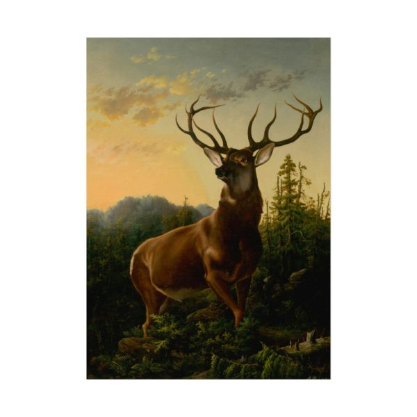92389.jpg Deer in Forest Landscape Poster