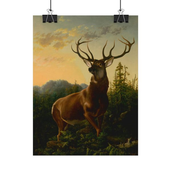 92390-1.jpg Deer in Forest Landscape Poster