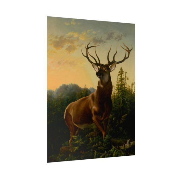 92391-2.jpg Deer in Forest Landscape Poster