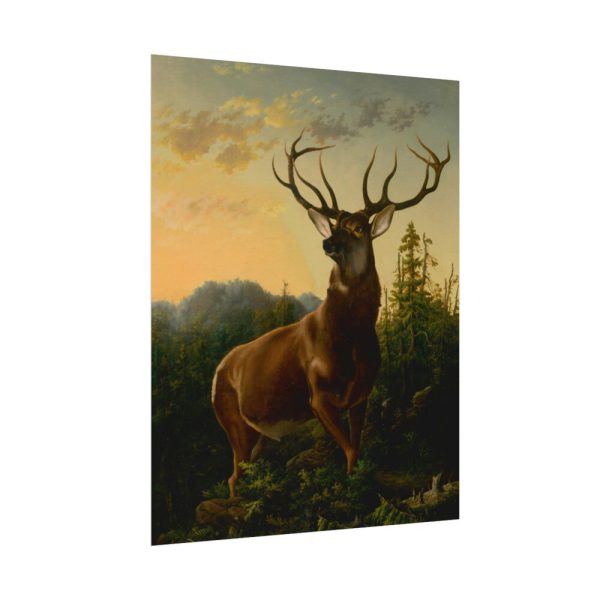 92394-2.jpg Deer in Forest Landscape Poster