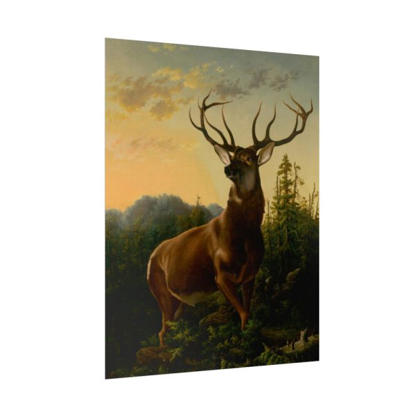 92395-2.jpg Deer in Forest Landscape Poster
