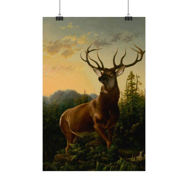 92397-1.jpg Deer in Forest Landscape Poster